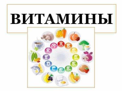 Витамины в нашей жизни