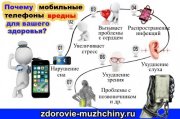 Методические рекомендации об использовании устройств мобильной связи в общеобразовательных организациях